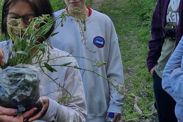 Charnwood Foraging